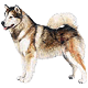 Ruxi
